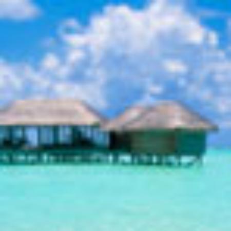 The Berean Coffee House